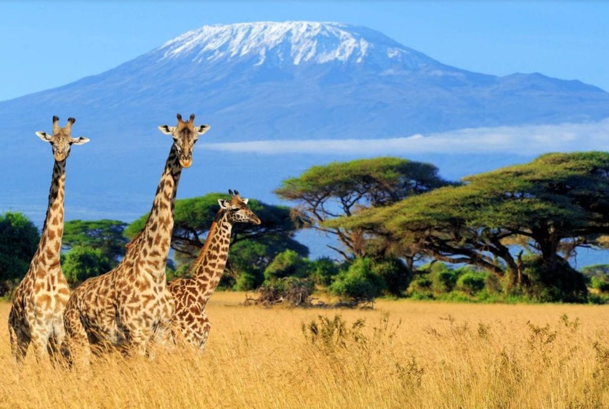Mountain Climbing