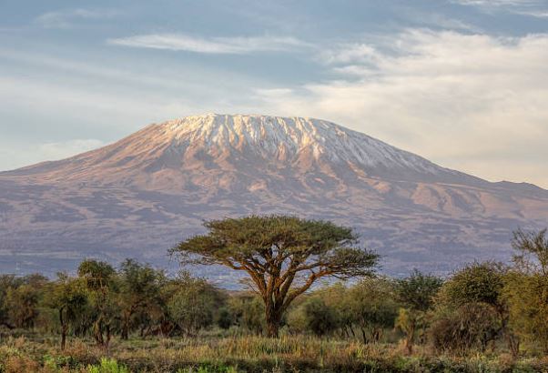 Tanzania Safari