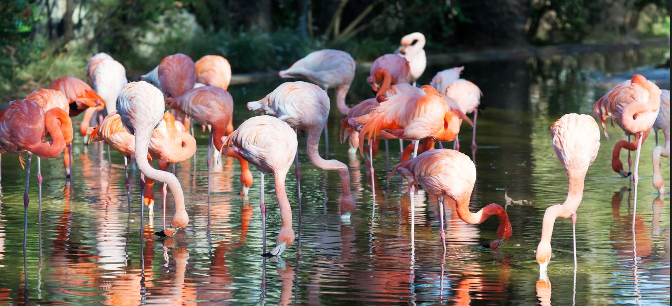 Lake Manyara National Park