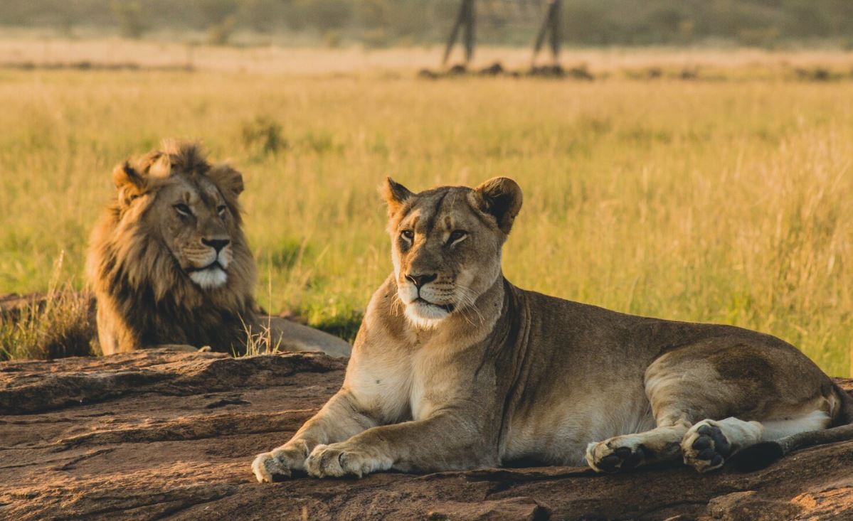 Serengeti National Park