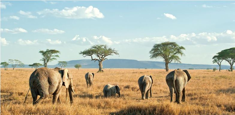 Tarangire National Park